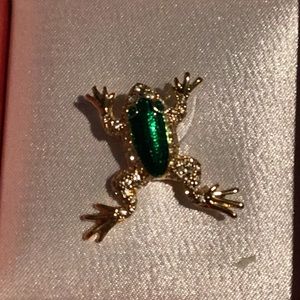 Frog pin